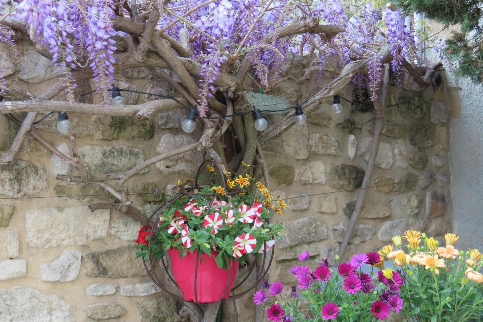 La Maison Wisteria Saint-Pantaléon-les-Vignes Εξωτερικό φωτογραφία